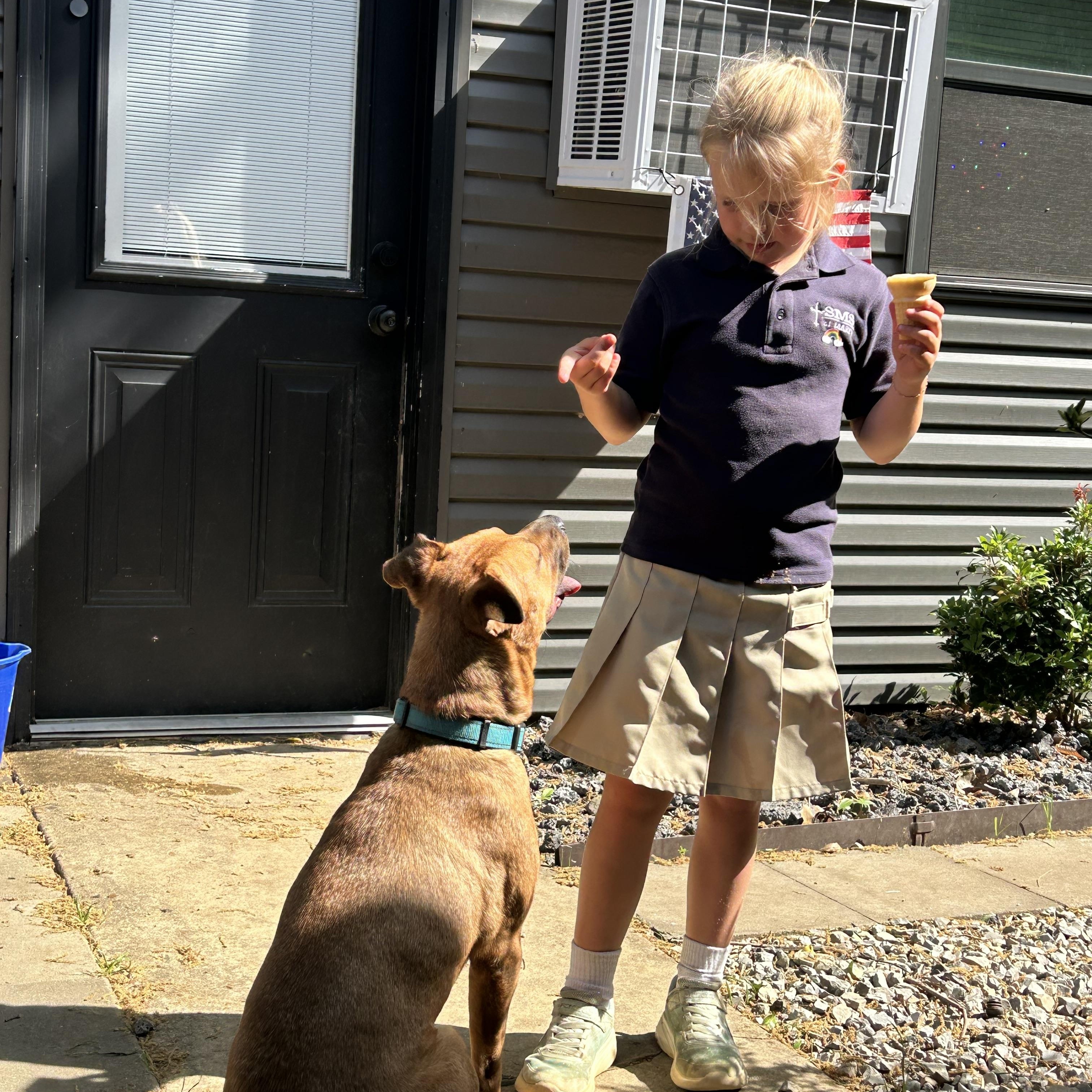 Enlarge Forrest - COME MEET 10/26, a Adoptable mixed breed in Medfield, MA image 5/6
