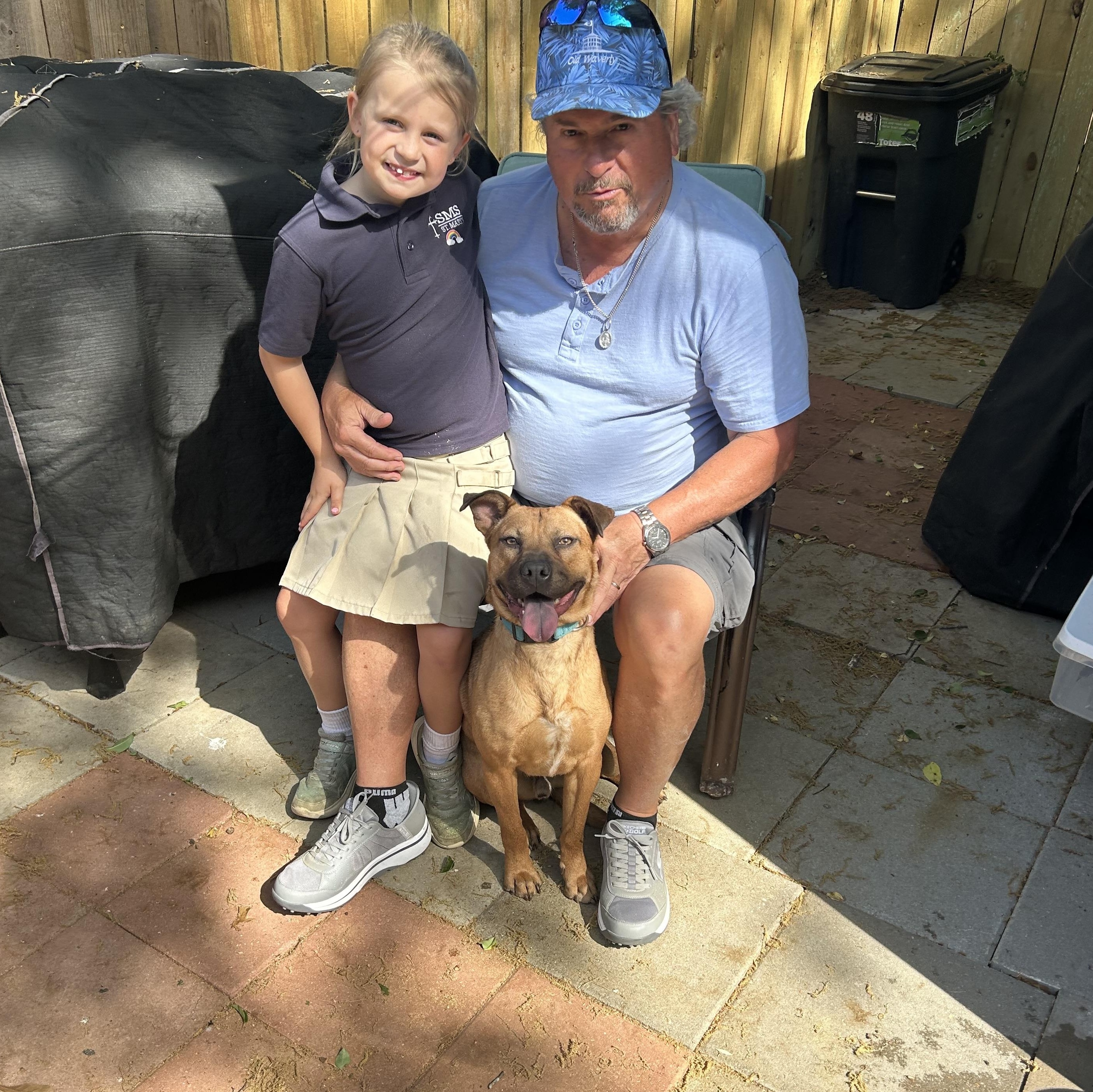 Forrest - COME MEET 10/26, Adoptable, Adult Male Boxer.