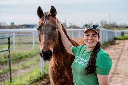 Jenny, Adoptable, Adult Female Saddlebred & Arabian.