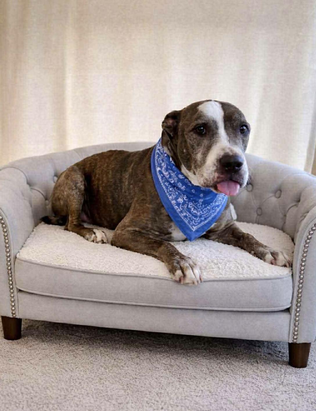 Hercules — thumbnail 3