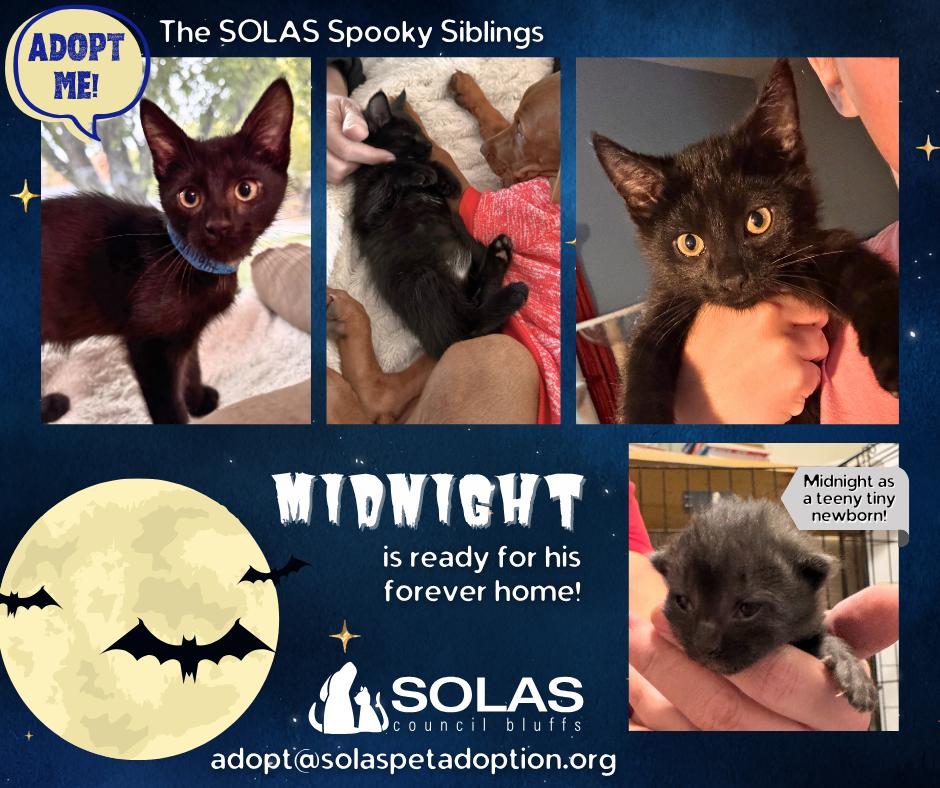 Midnight  --  (CaCo)