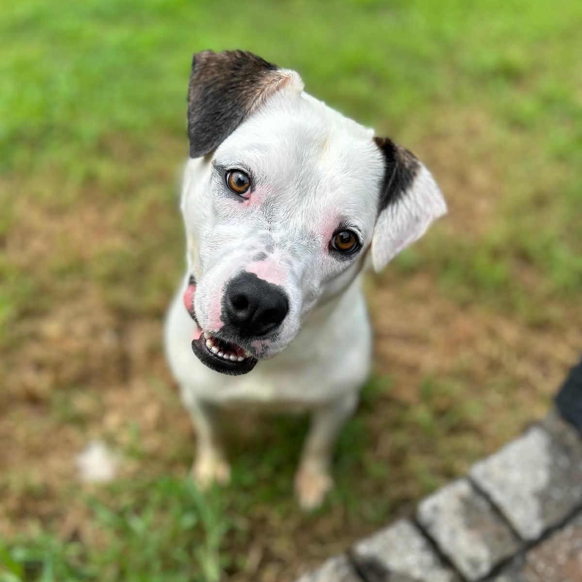 Egypt (Courtesy posting)