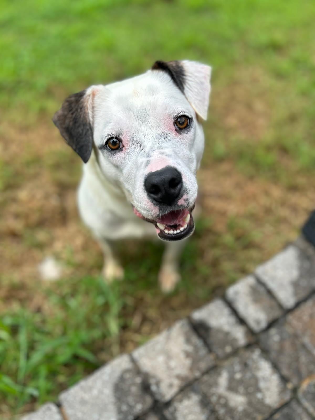 Egypt (Courtesy posting)