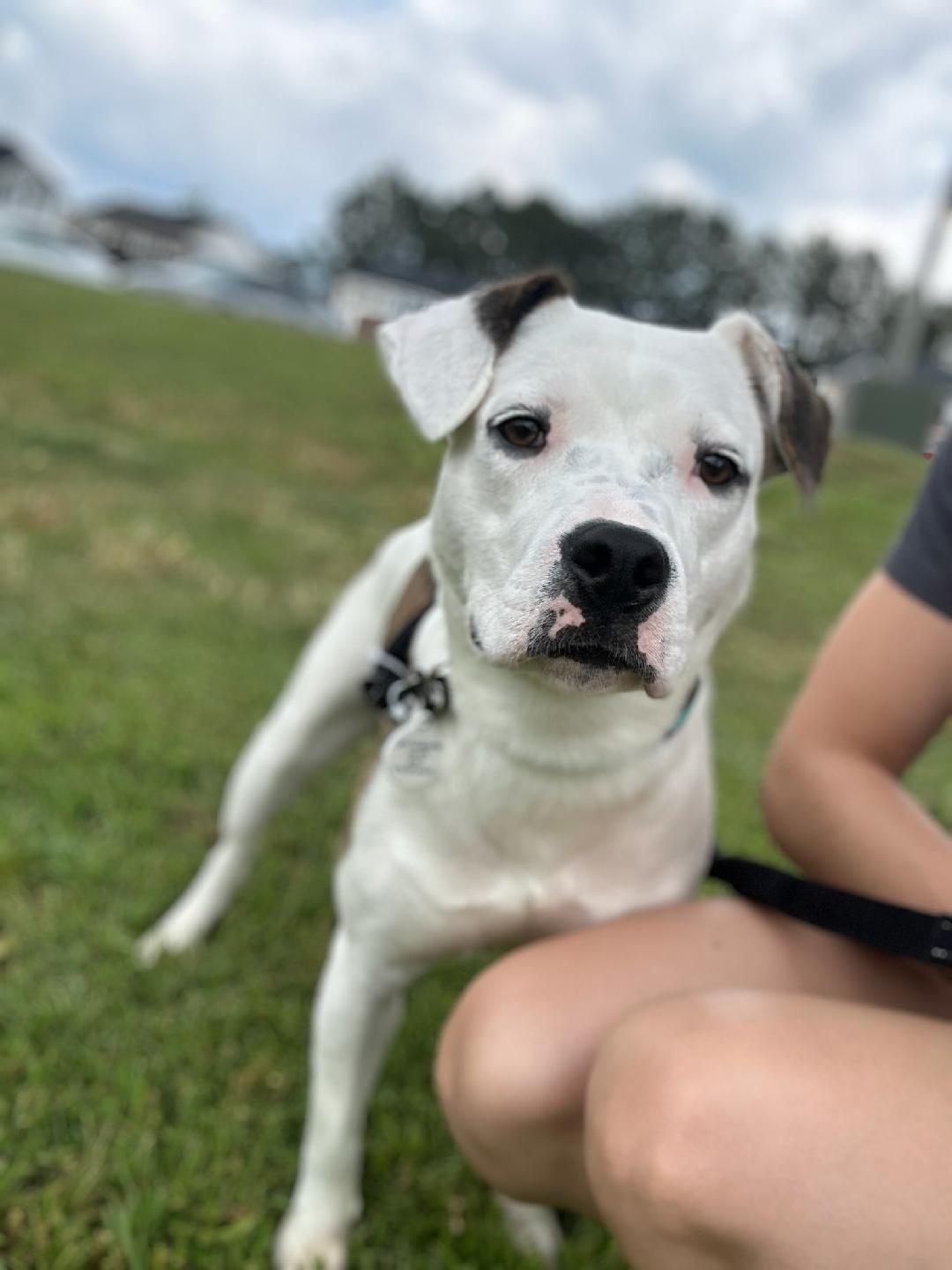 Egypt (Courtesy posting)