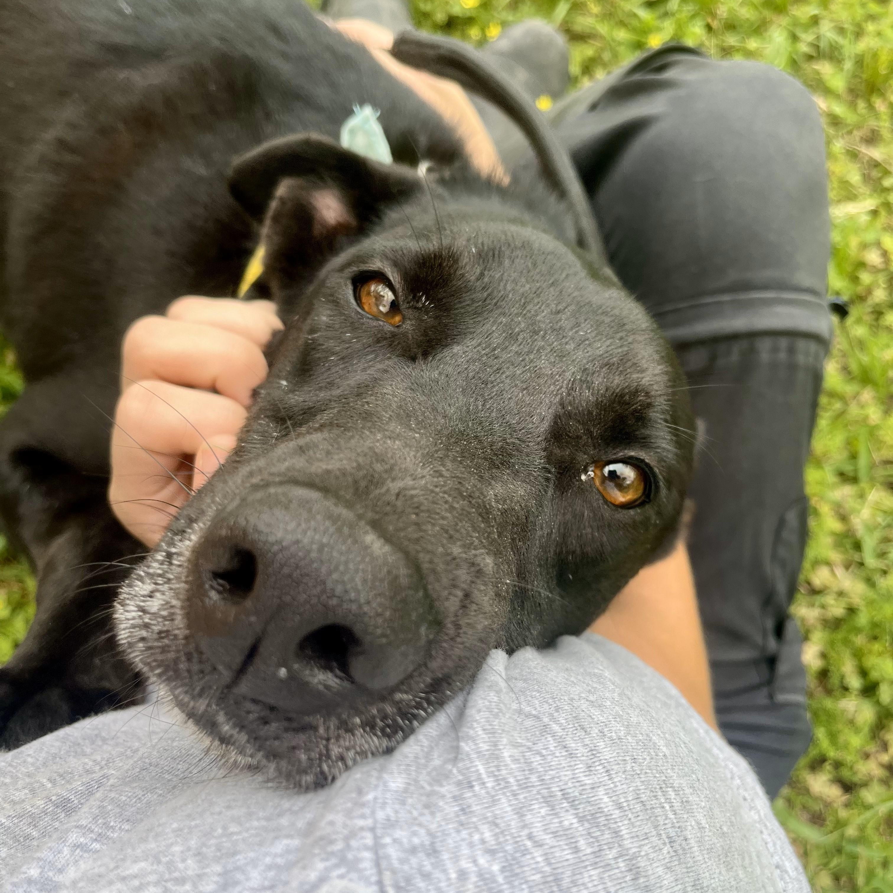 Rigatoni — thumbnail 3