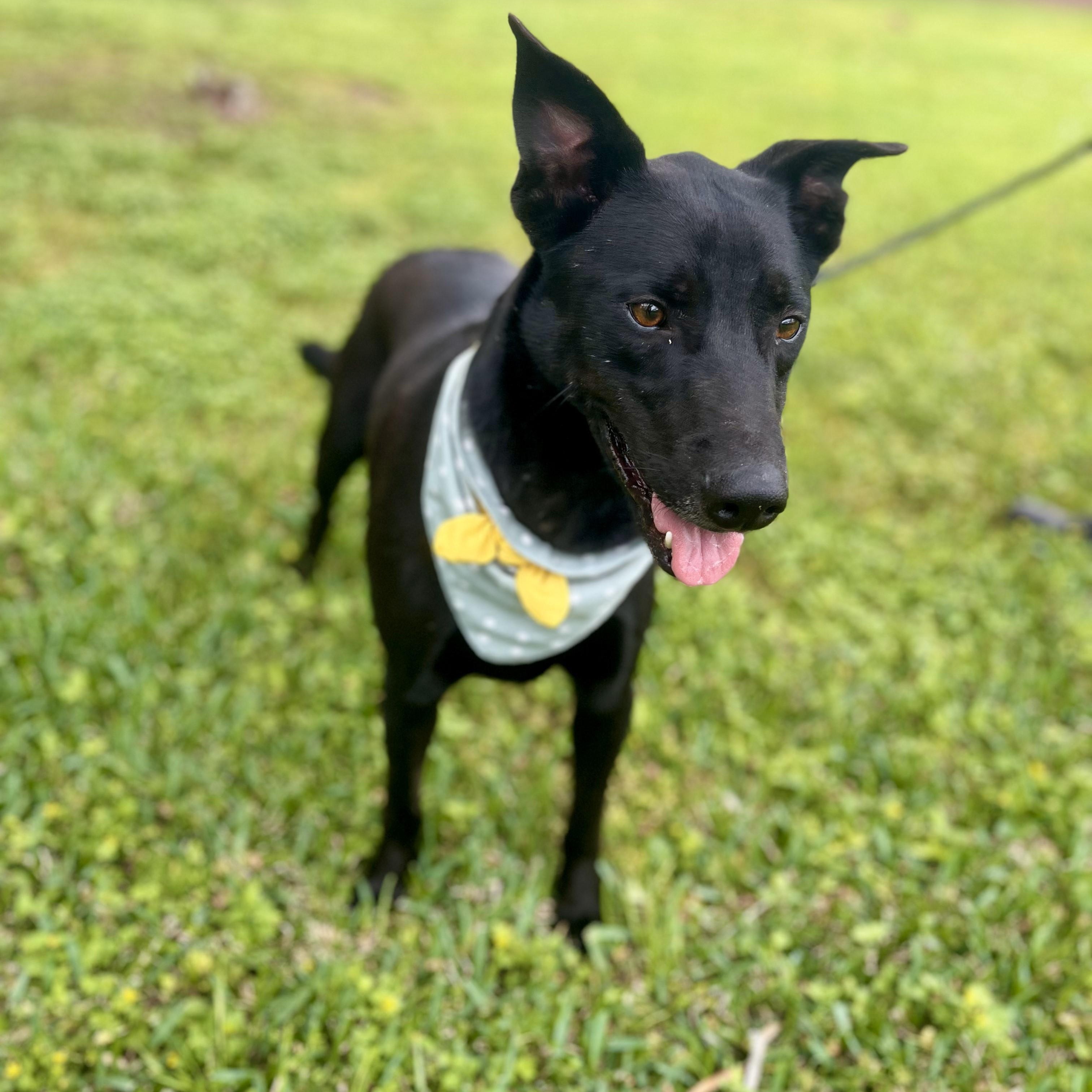 Rigatoni — thumbnail 6