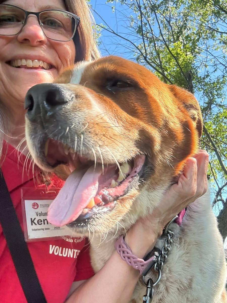 Enlarge Rollie, an adoptable Mixed Breed in Elyria, OH image 6/6