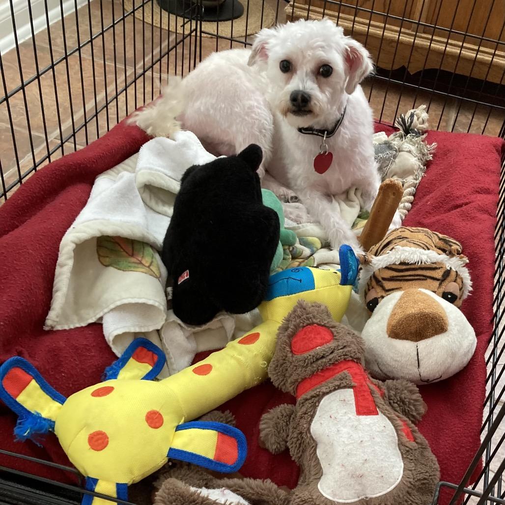 Finnegan — thumbnail 2