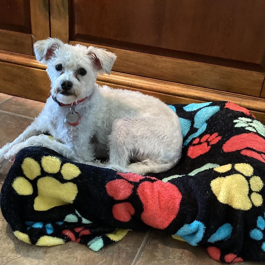 Finnegan — thumbnail 3