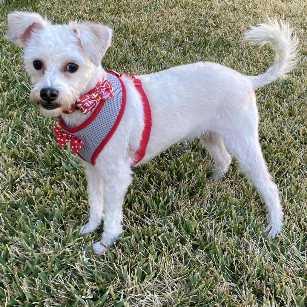 Finnegan — thumbnail 4