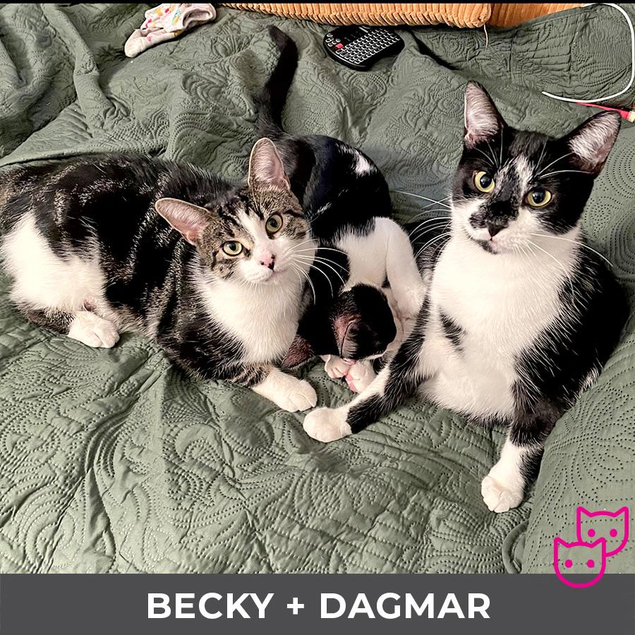 Becky (bonded with Dagmar)