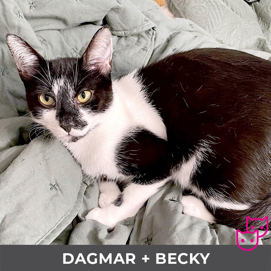 Becky (bonded with Dagmar)