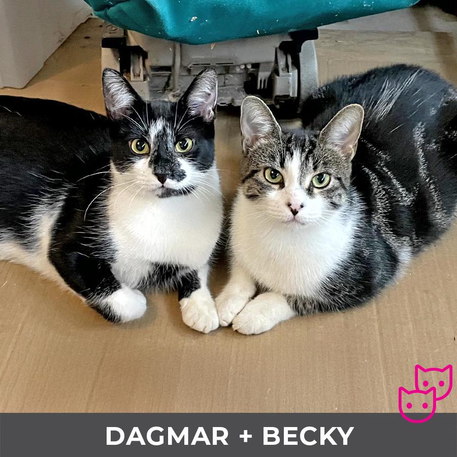 Becky (bonded with Dagmar)