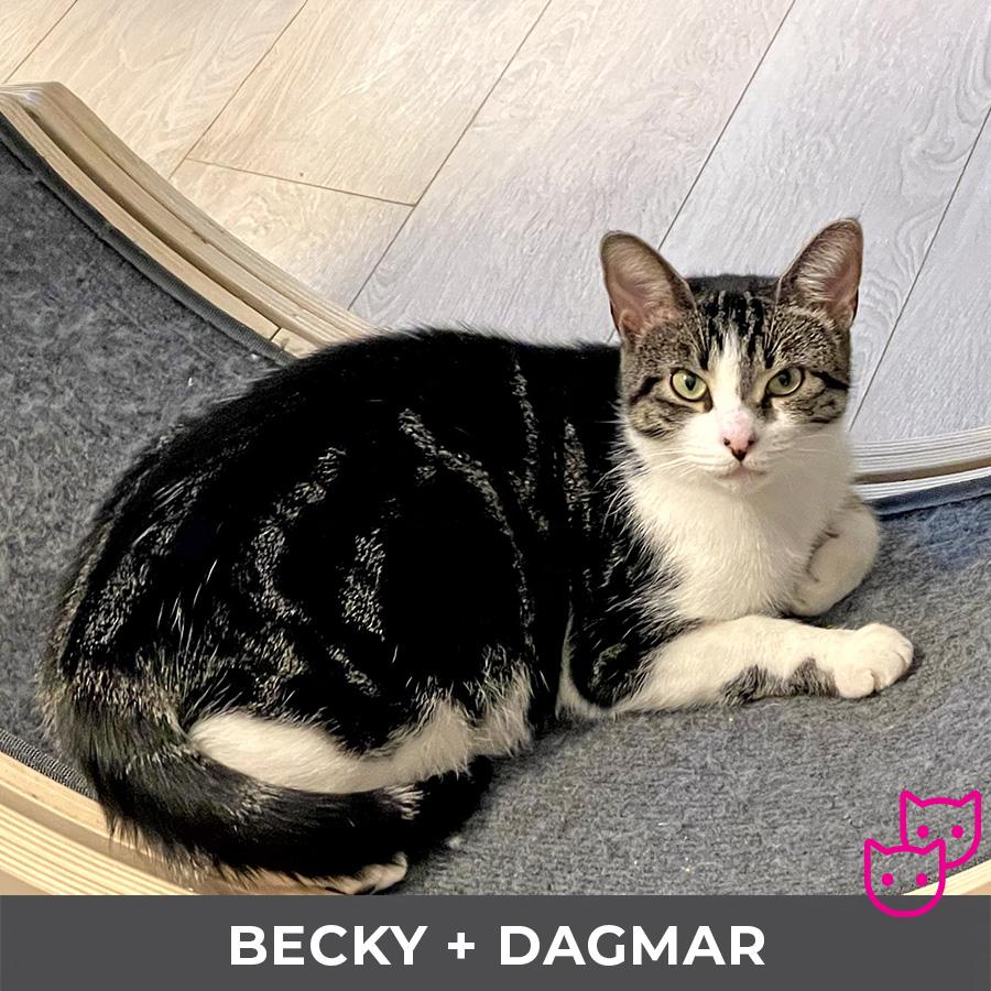 Becky (bonded with Dagmar)