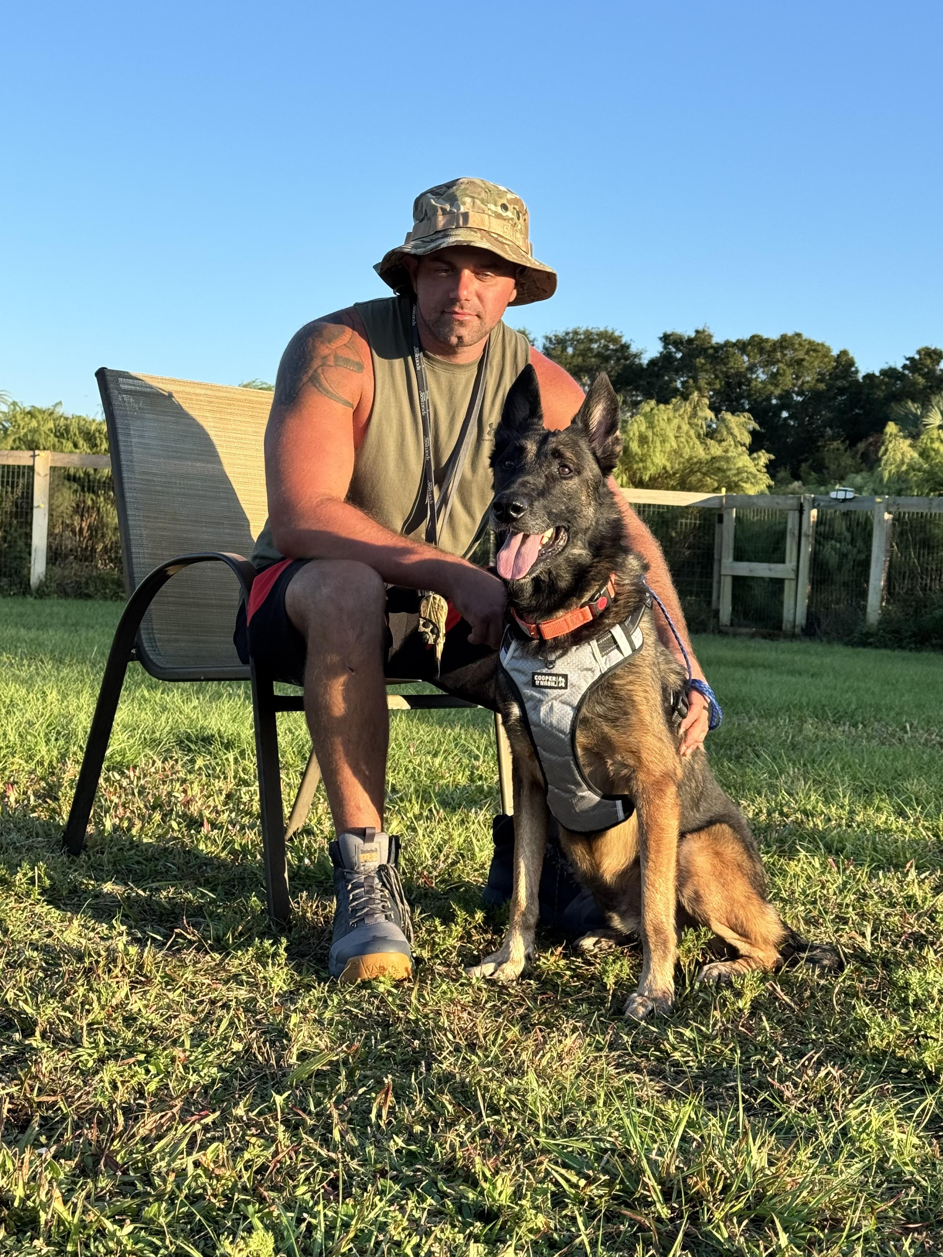 Sultan, a Adoptable Belgian Shepherd / Malinois in Port Saint Lucie, FL image 2/5