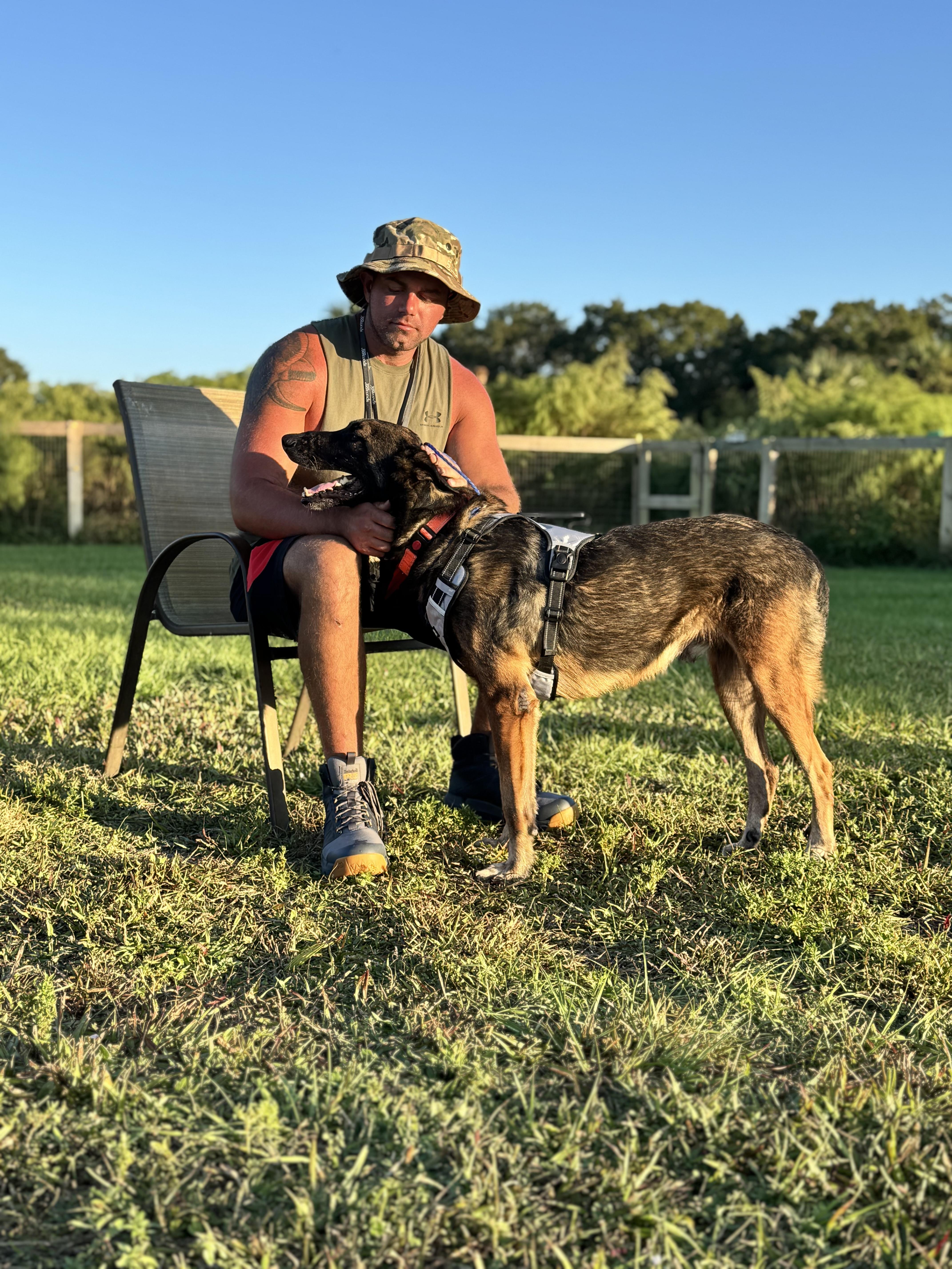 Sultan, a Adoptable Belgian Shepherd / Malinois in Port Saint Lucie, FL image 3/5