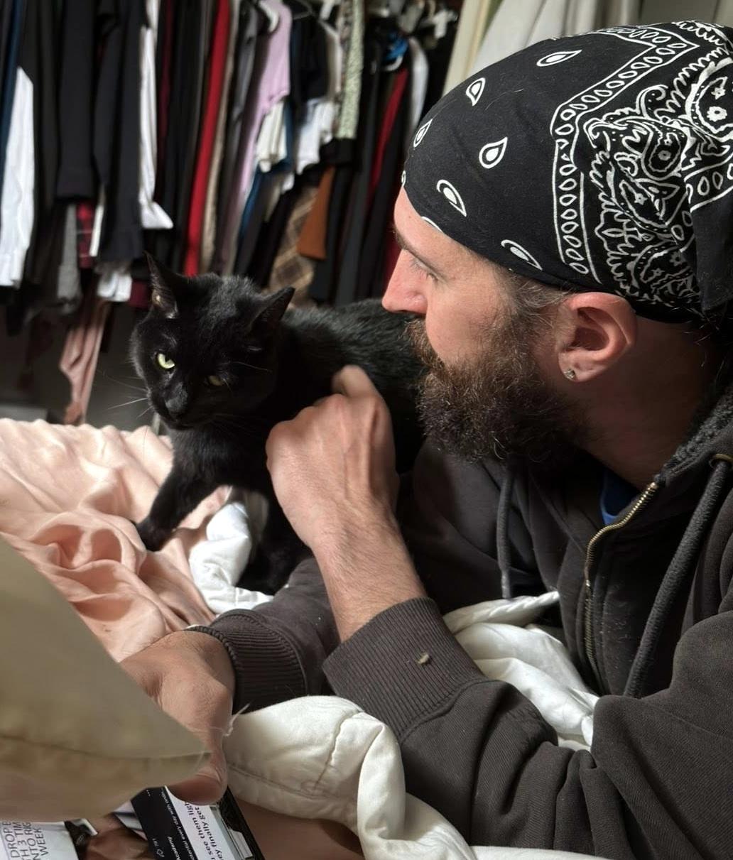 Enlarge Dream, a ADOPTABLE Domestic Short Hair in Pittsburgh, PA image 6/6