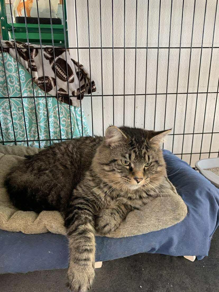 Jasper