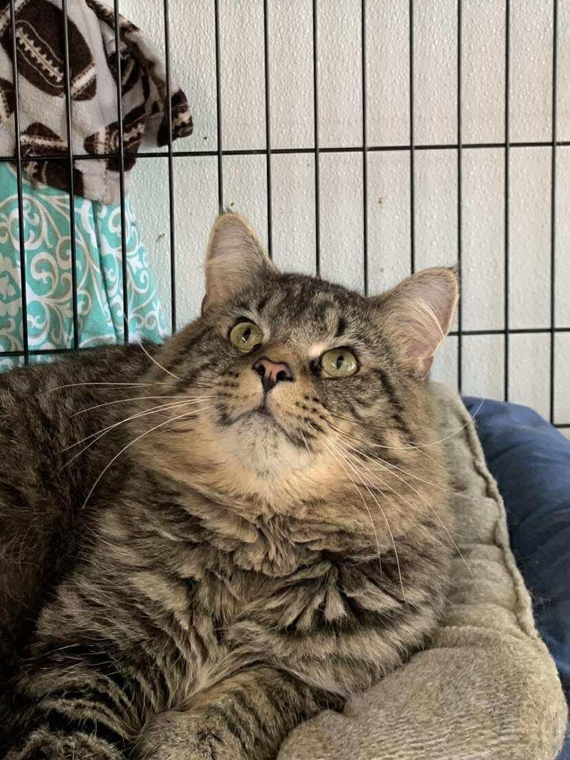 Jasper