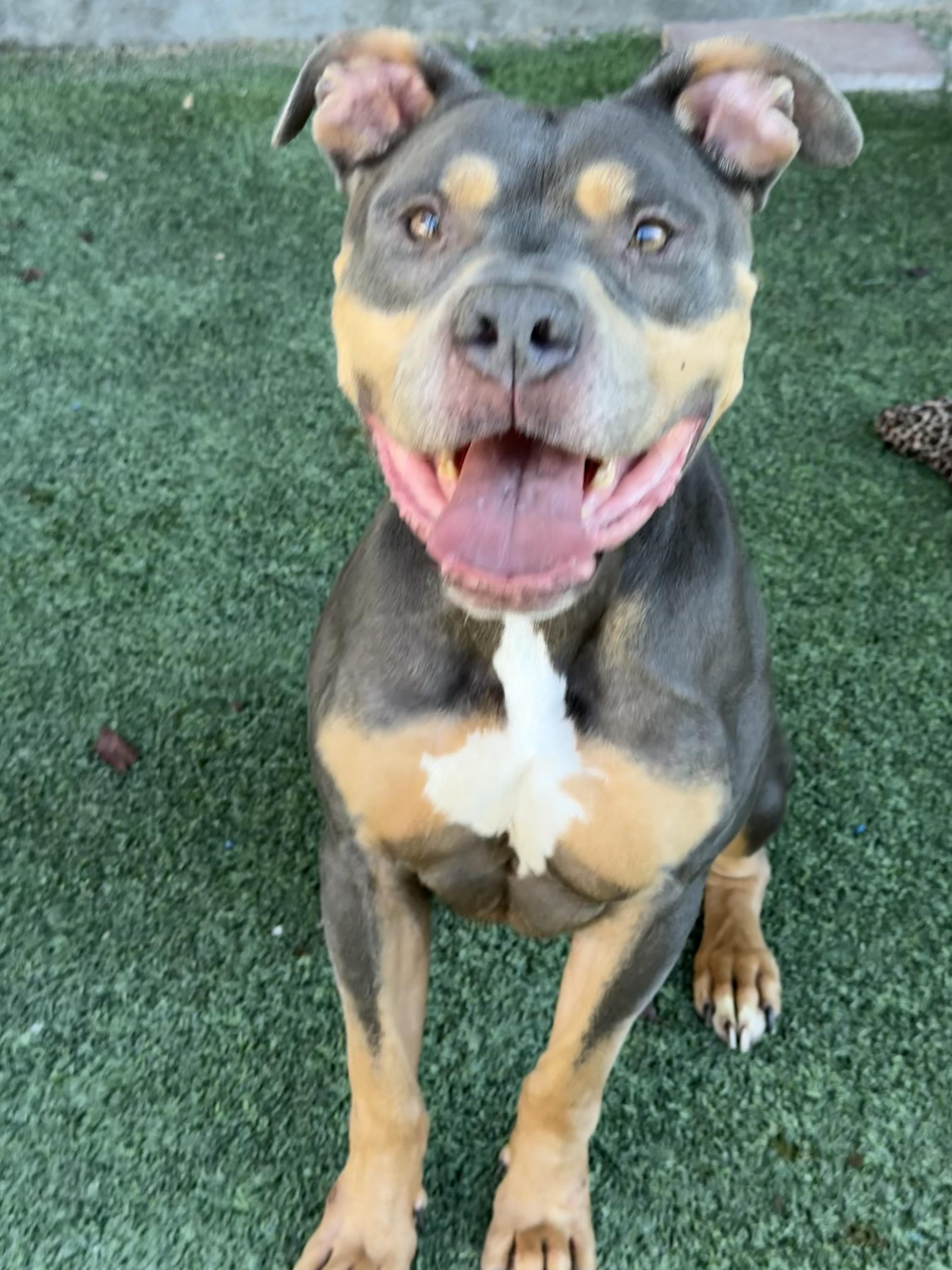 Kane — thumbnail 2