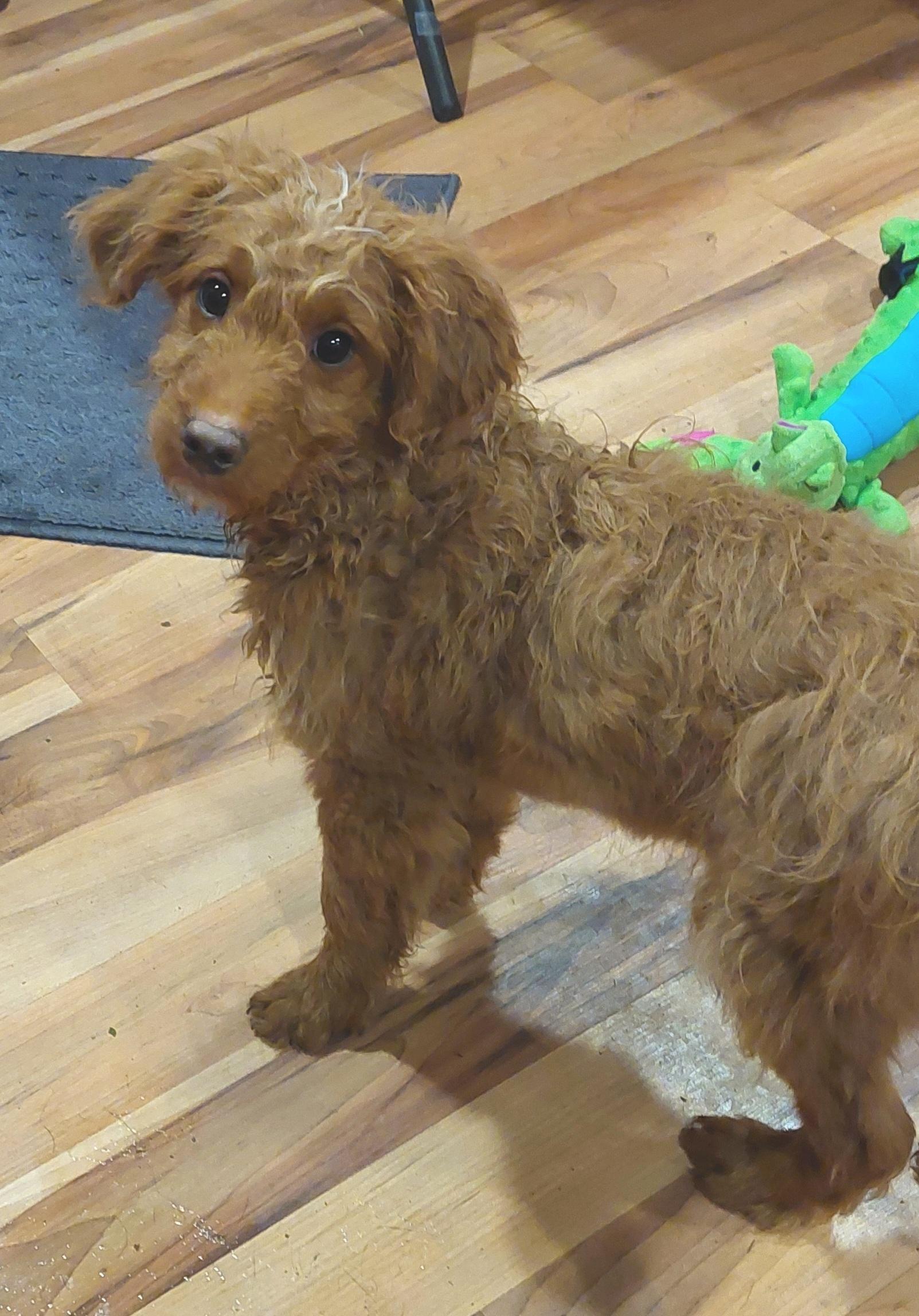 Franklin thumbnail 2