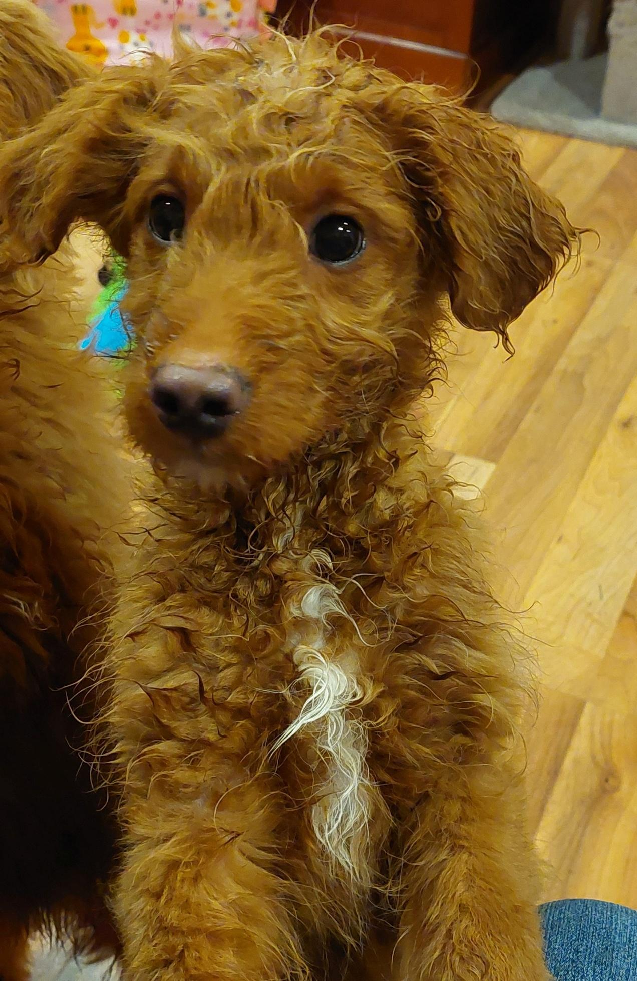 Franklin thumbnail 4