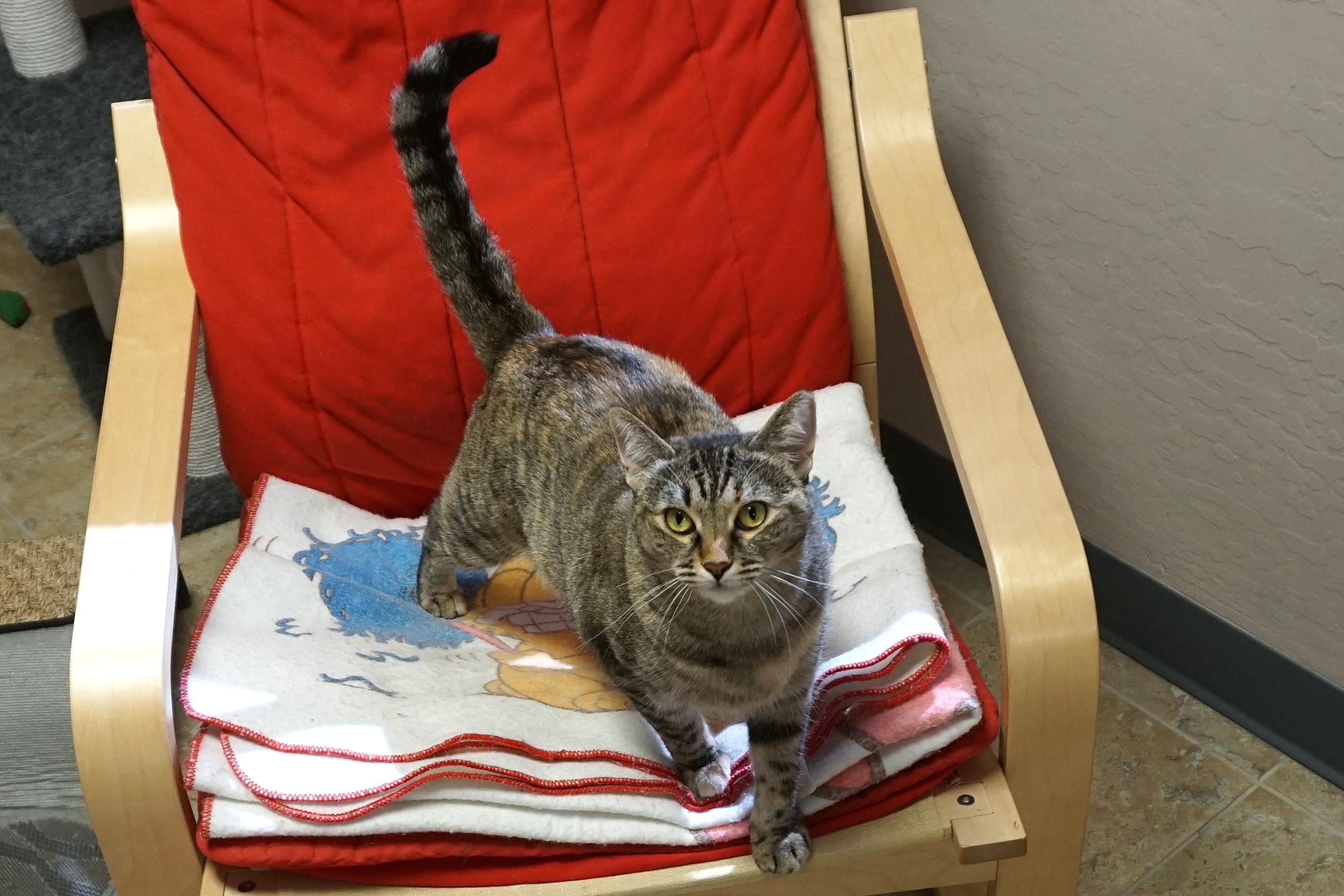 Clementine Mae photo 2