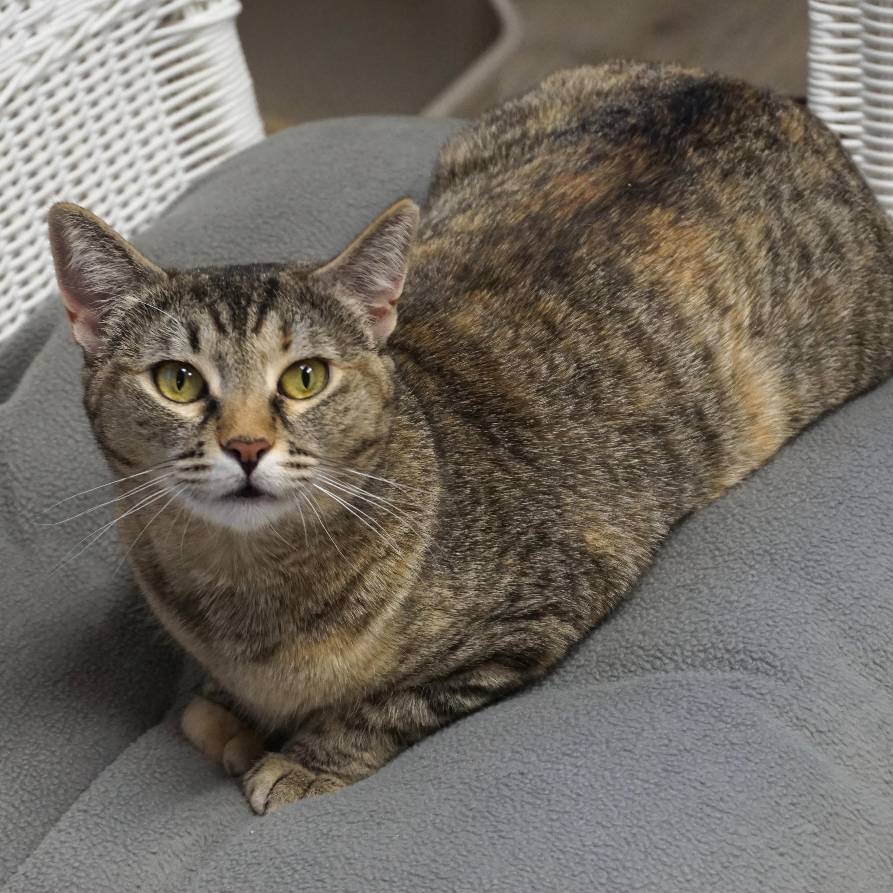 Clementine Mae photo 3