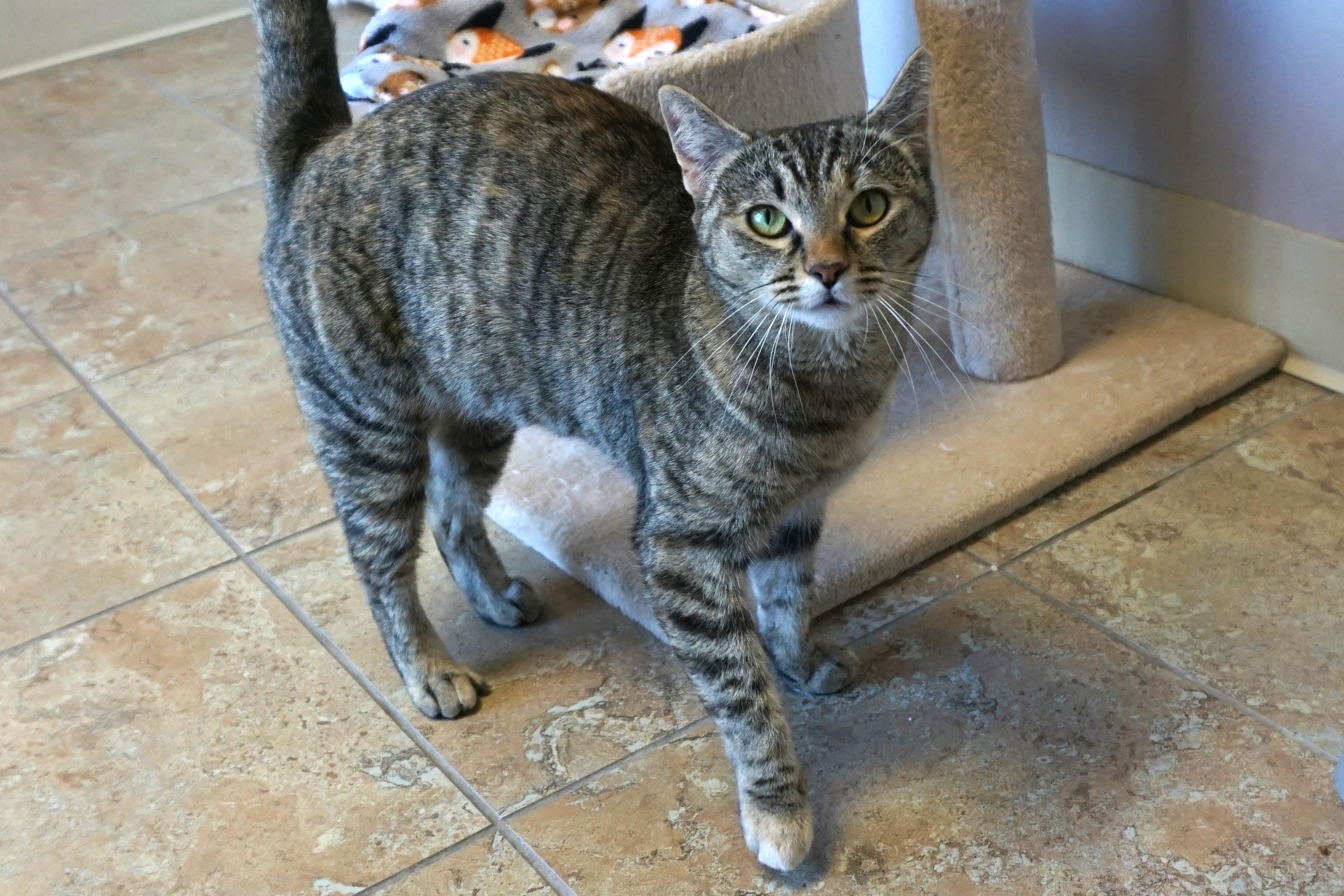 Clementine Mae photo 6