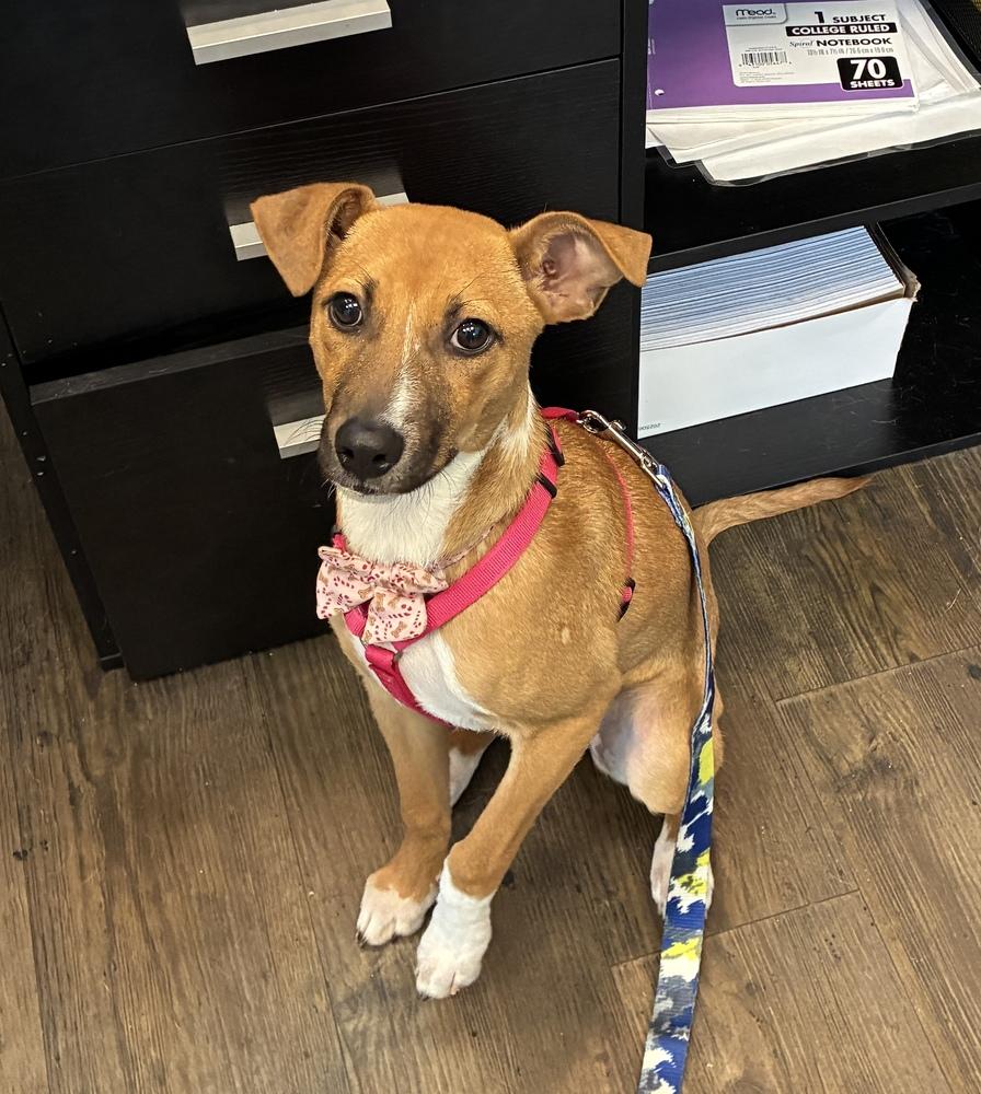 Lil Twinkle thumbnail 5