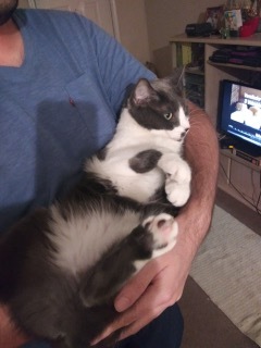 Cashew photo 2