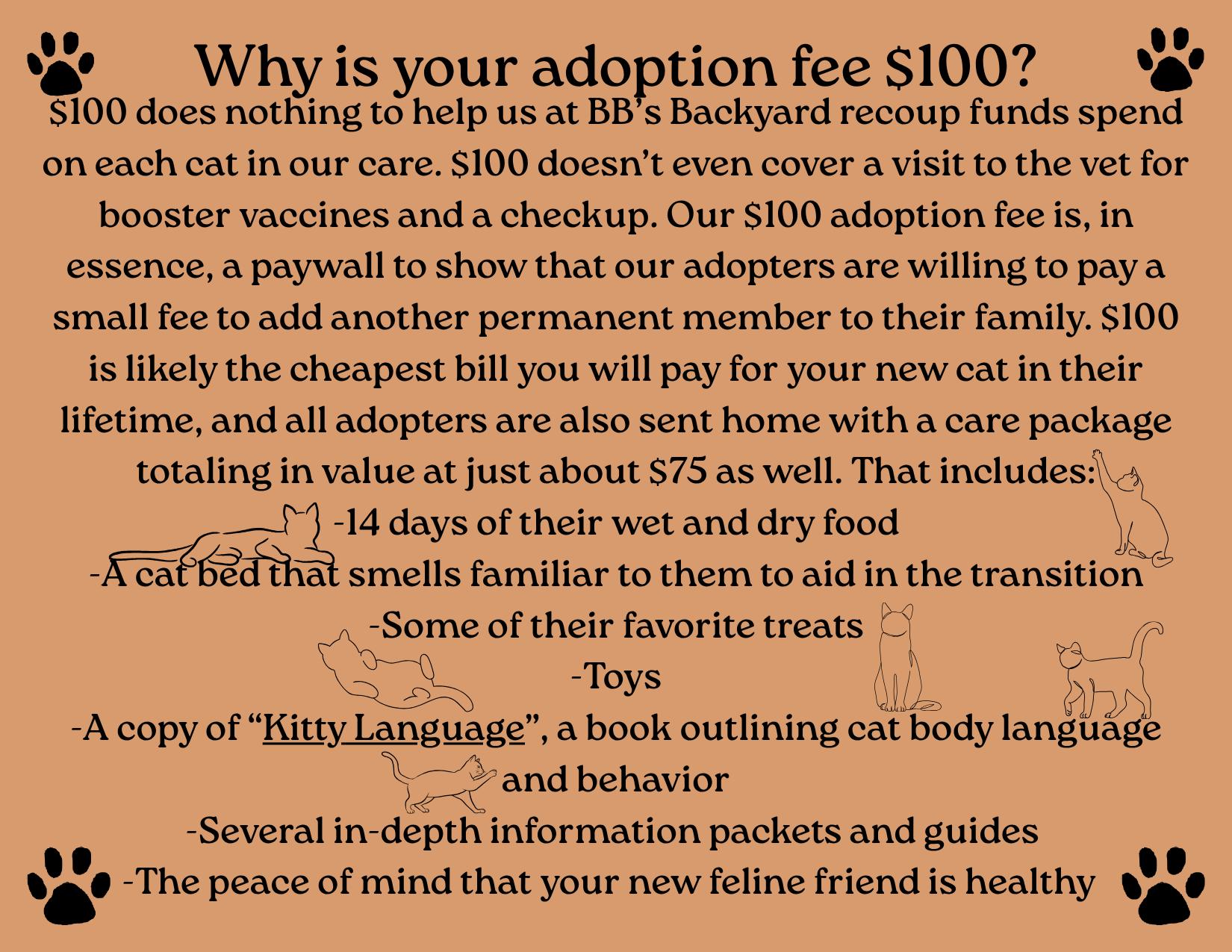 Enlarge Phantom, a Adoptable Domestic Short Hair in Kissimmee, FL image 2/6