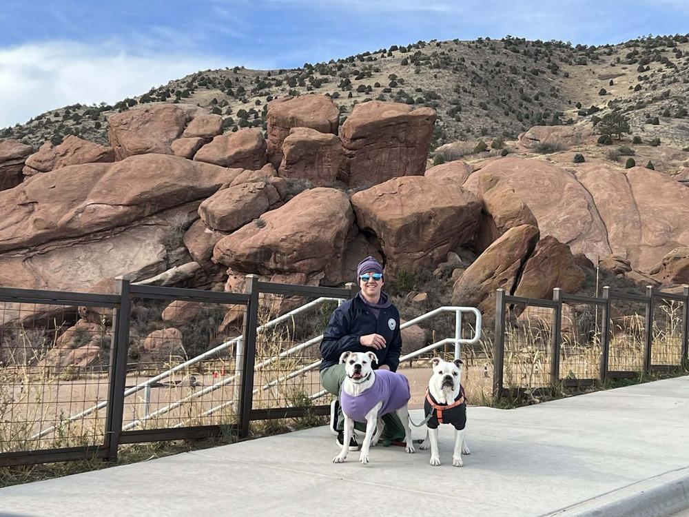 Tychus, a Adoptable mixed breed in Denver, CO image 3/6