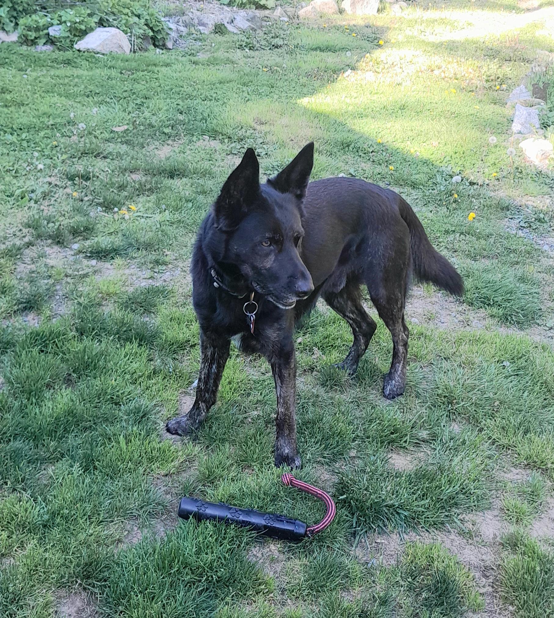 ODIN photo 6