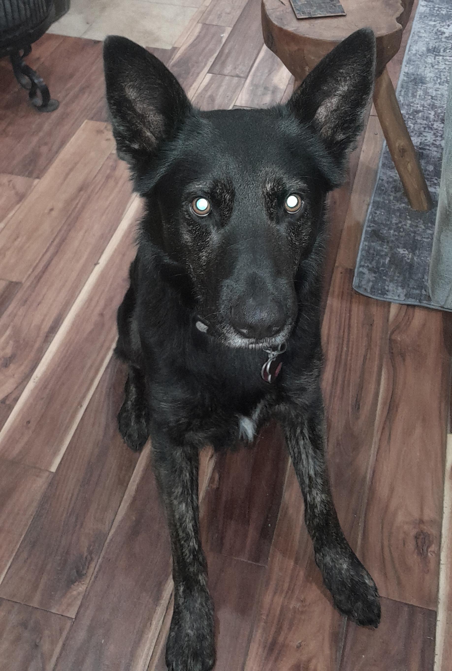 ODIN photo 4