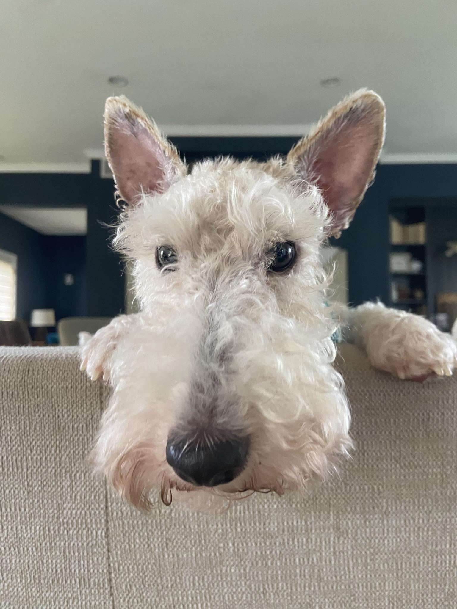 Fiona