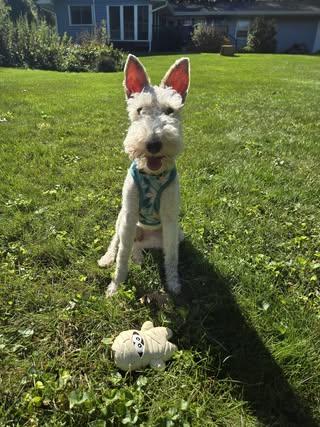 Fiona