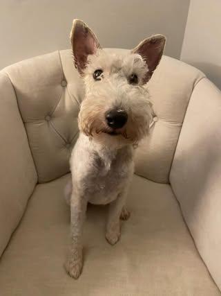 Fiona
