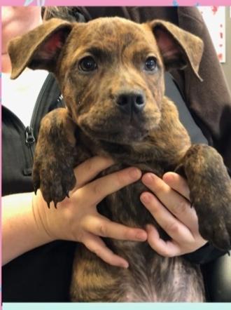 Milkyway thumbnail 2