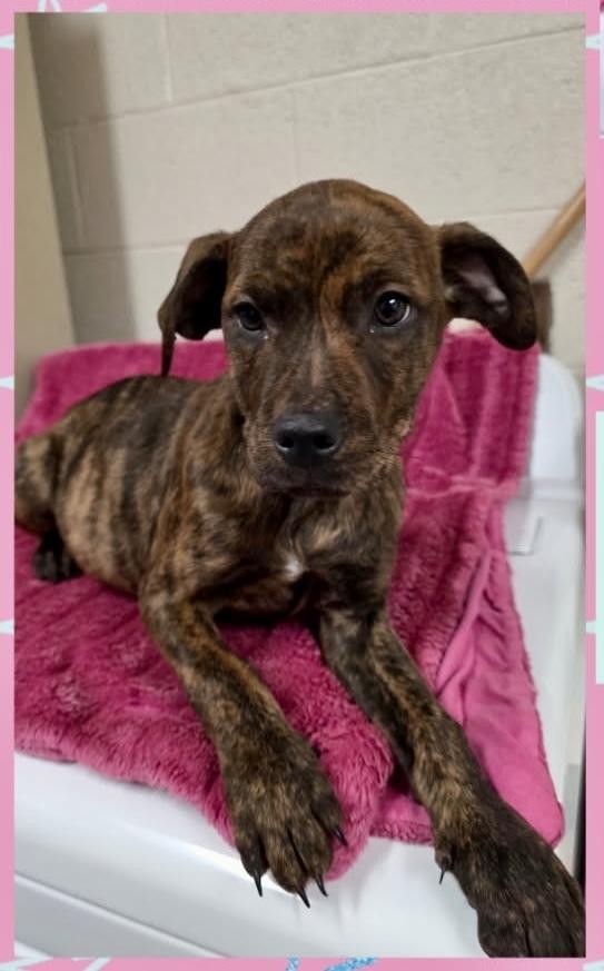 Milkyway thumbnail 3