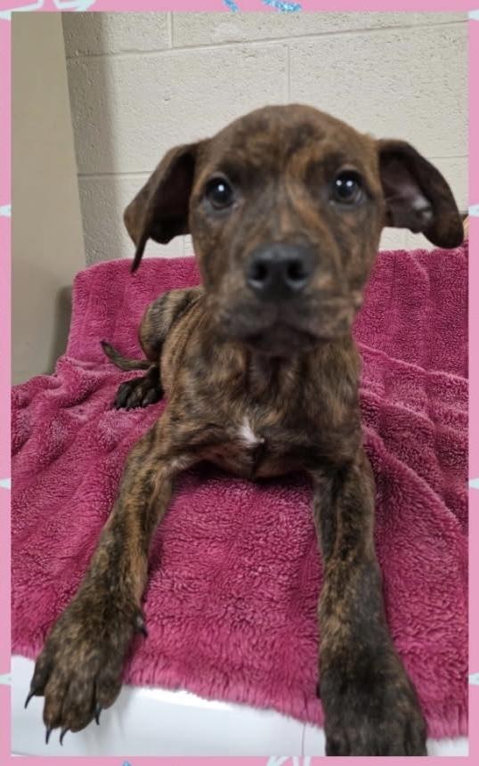 Milkyway thumbnail 4