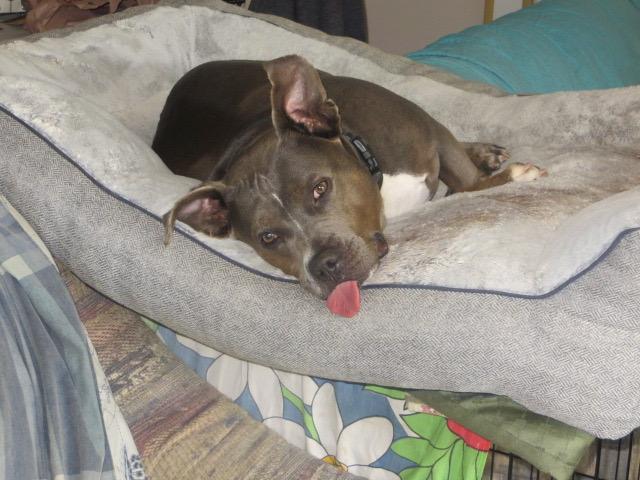 Vinny