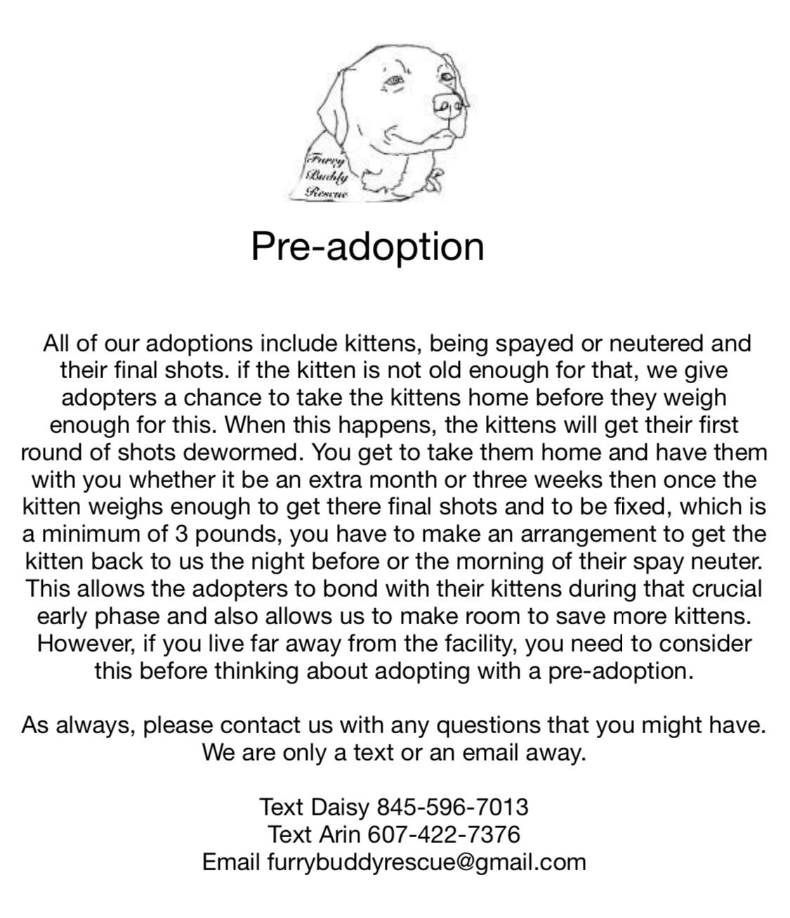 Enlarge True heart bear, a Adoptable mixed breed in Newark valley, NY image 5/5