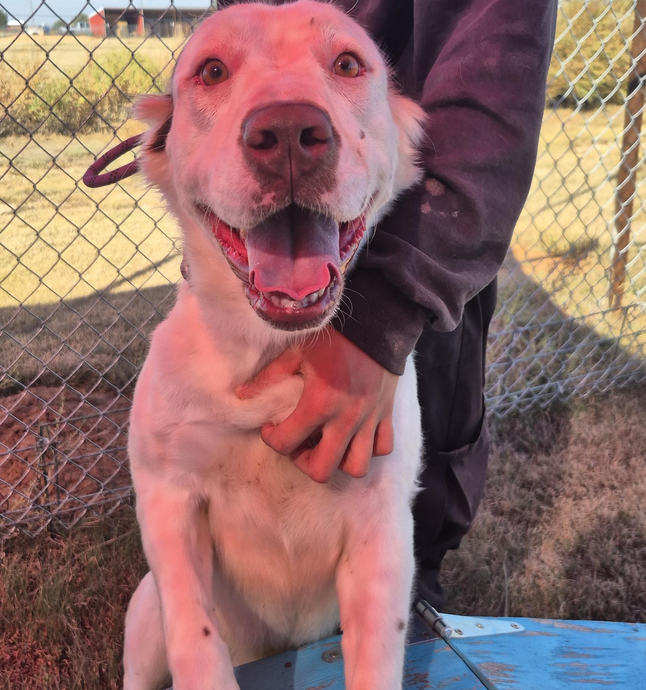 Leia — thumbnail 3