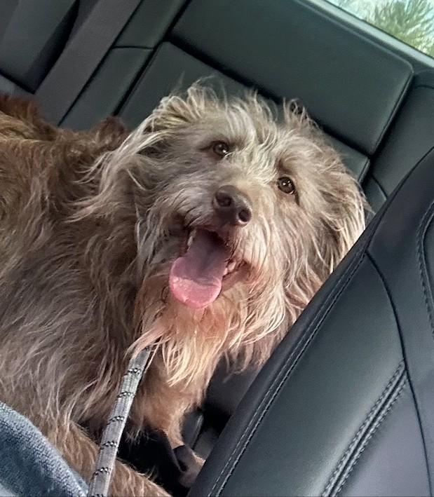 Ralphie - Courtesy Listing