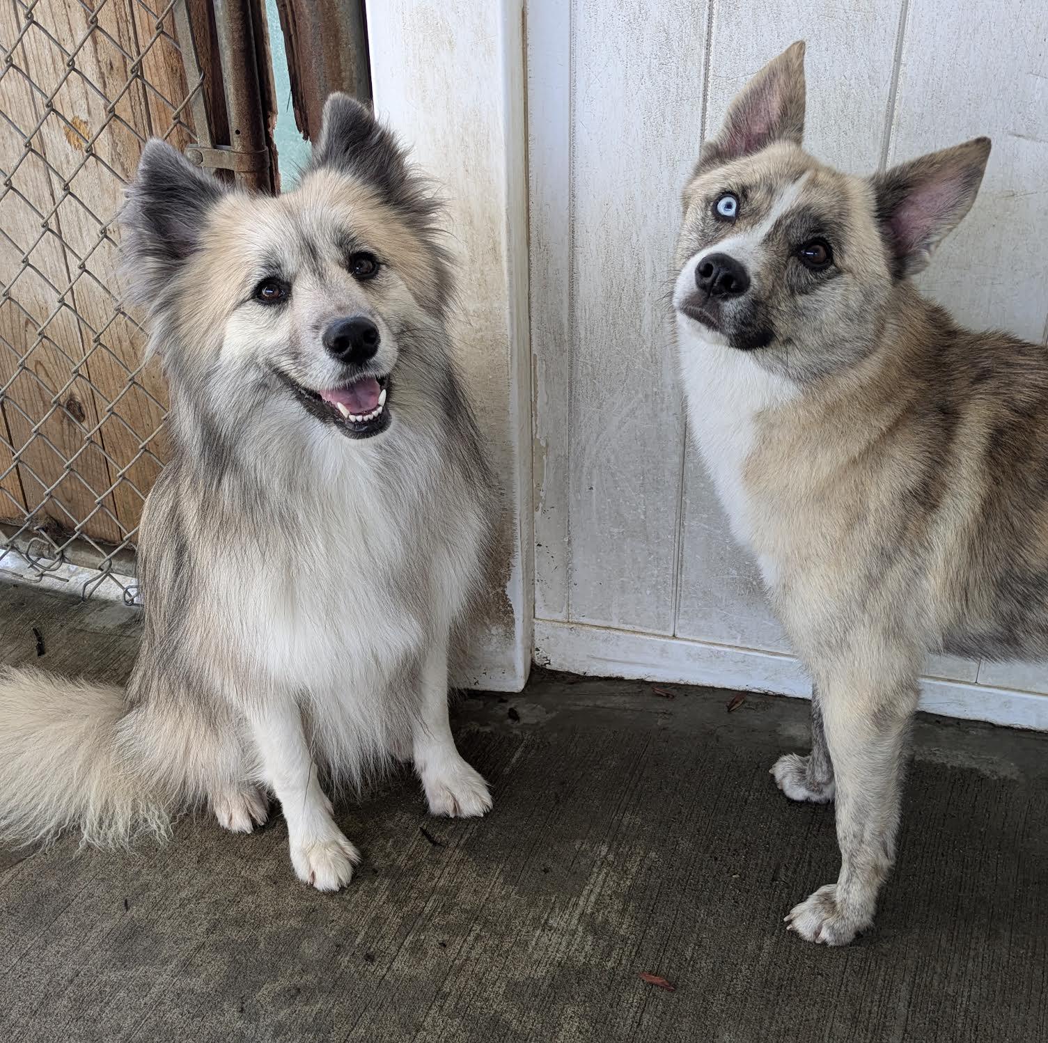 Athena and Aphrodite