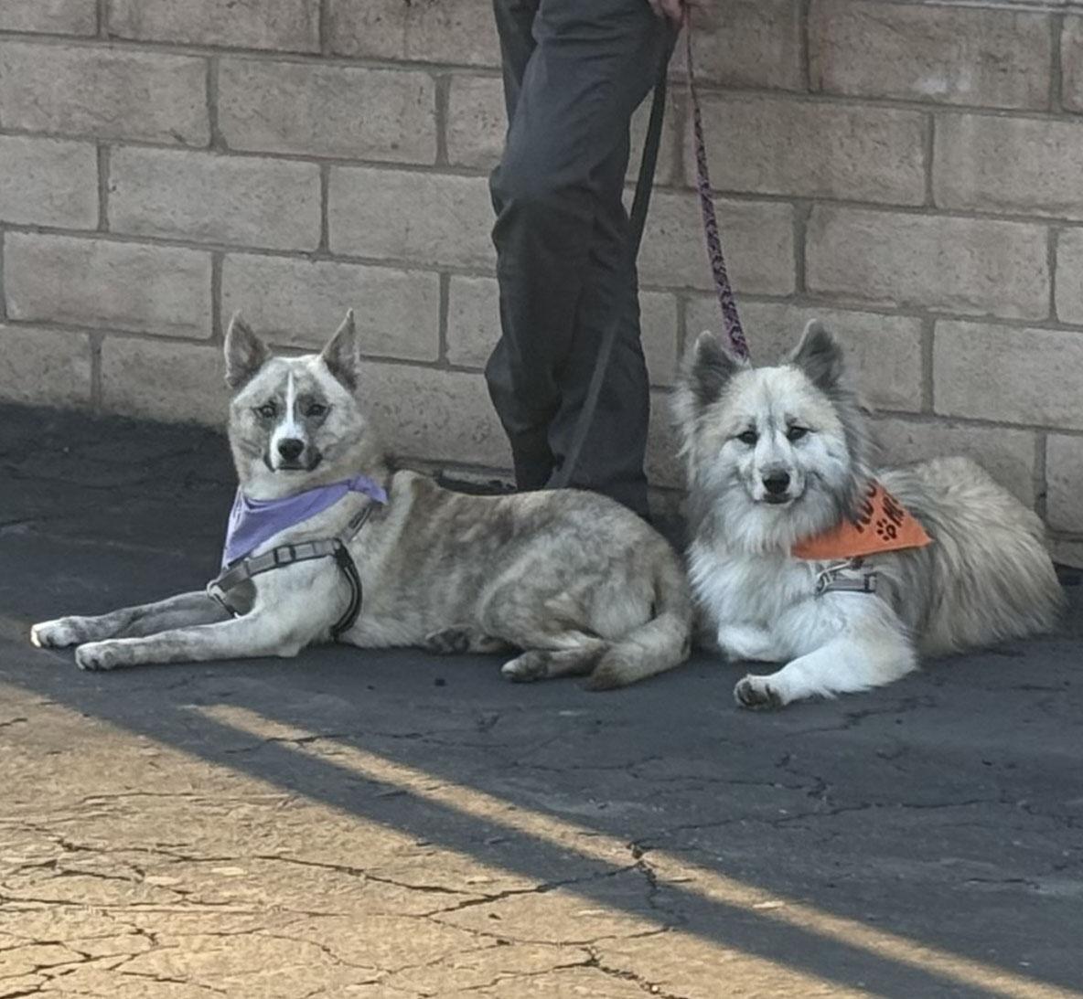 Athena and Aphrodite