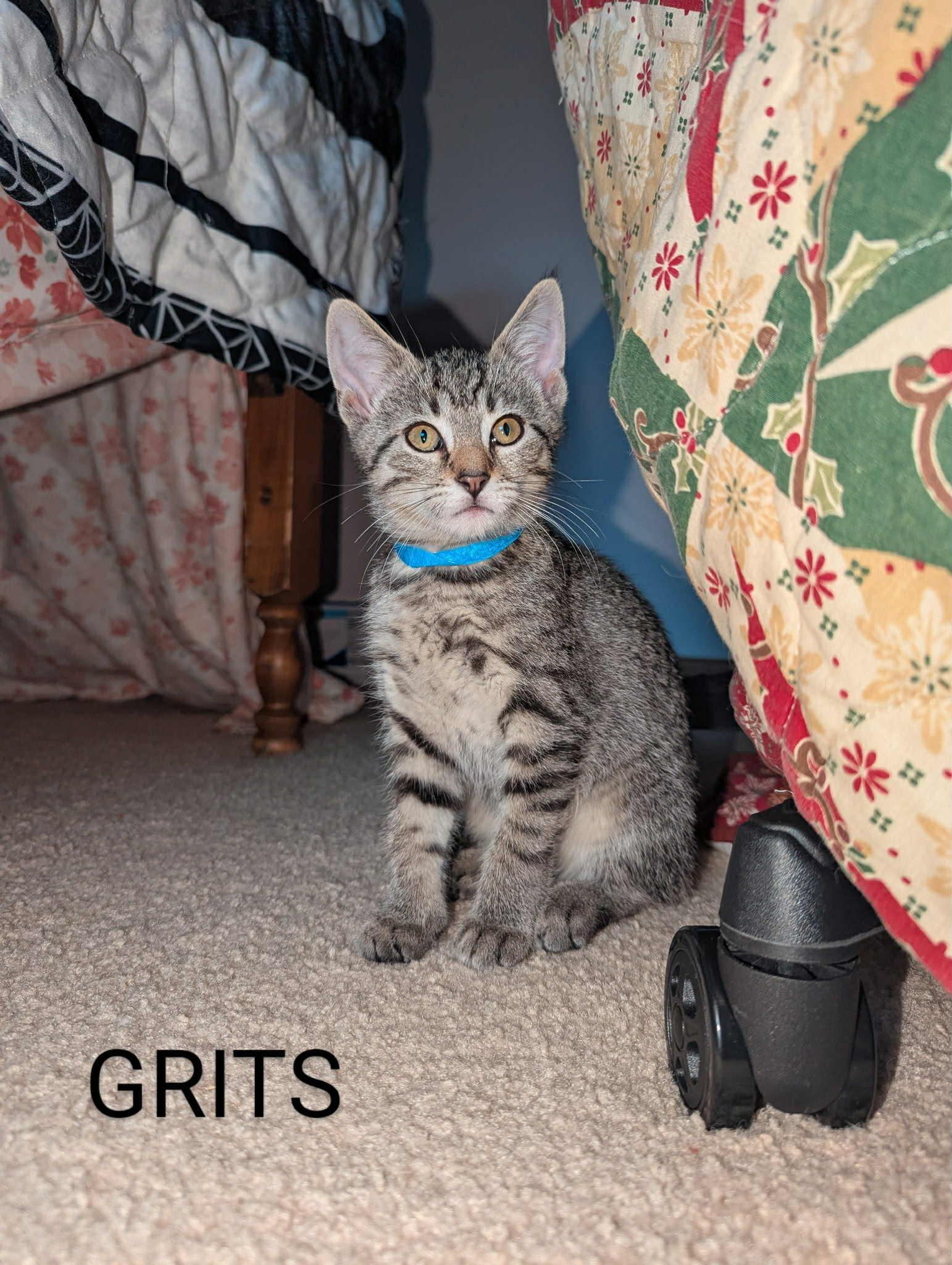 Grits