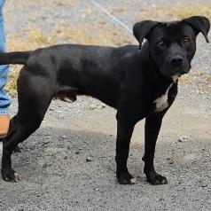 Cosmos — thumbnail 4