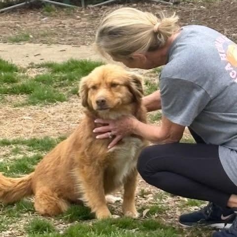 Sadie — thumbnail 2